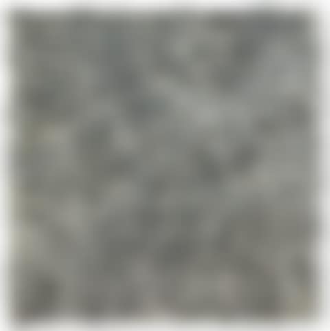 WEISSES FELD (WHITE FIELD)  (preview)