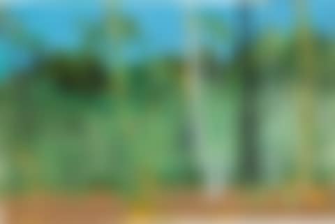 MARACAS IX (STUDY) (preview)