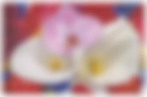 Twin Peaks of Cho Oyo (preview)