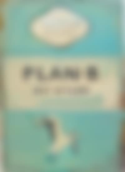 Plan-B My Story (preview)