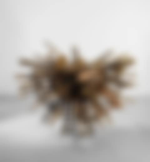Grapes (preview)