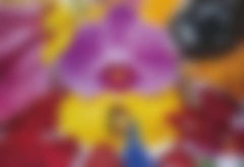 Pitons of St Lucia (preview)