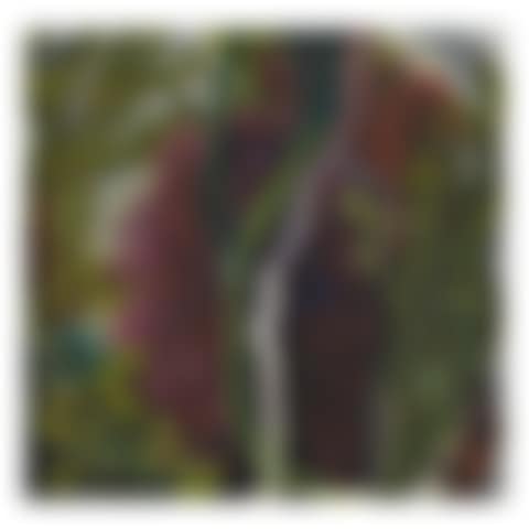 SEAWEED (preview)