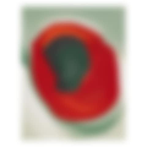 UNTITLED (ALLIGATOR PEAR IN RED DISH) (preview)
