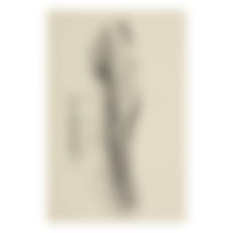 A LONG LEAF (FROM MY SKETCH BOOK) (preview)