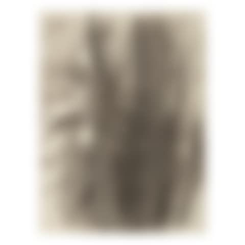 UNTITLED (TREES) (preview)