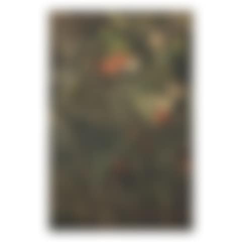 UNTITLED (MADHU MALATI) (preview)