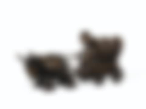 Covered Wagon (preview)