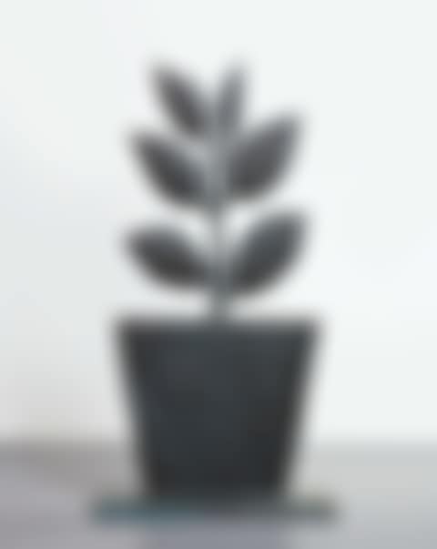 PLANTS (preview)