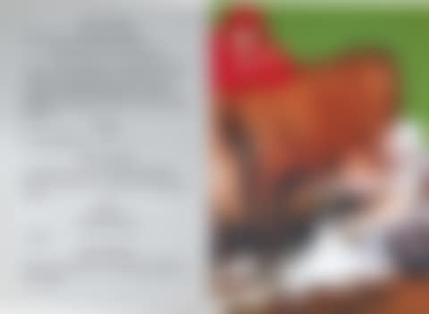 MOVIE SCRIPTS/ART: A LARGE PUDDLE OF MILK DIPTYCH (preview)