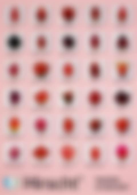 TULIP VARIETIES (preview)