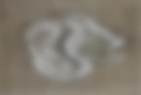 FEMALE NUDE (preview)