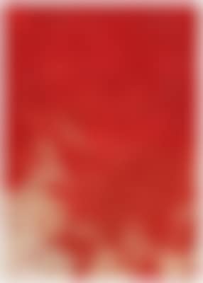 Untitled, relic of artistic action (preview)