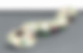 Kinoko Isu (Large) (preview)