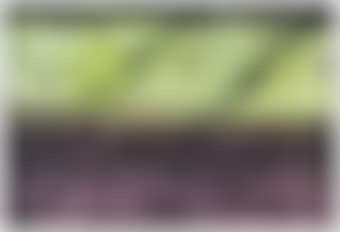 SP83 (preview)