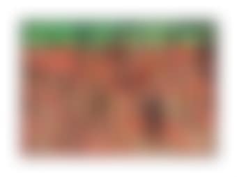 SP31 (preview)