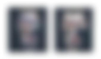 Two Studies for Portrait (preview)