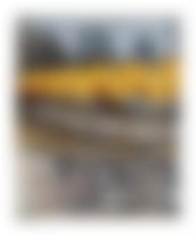 The Gates, Project for Central Park, New York City (preview)