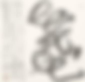 Flower is Not Flower (preview)