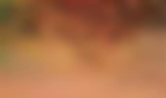 Deep Autumn (preview)
