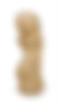 Figure recueille (preview)