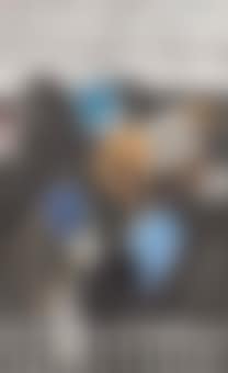 Vincennes (preview)
