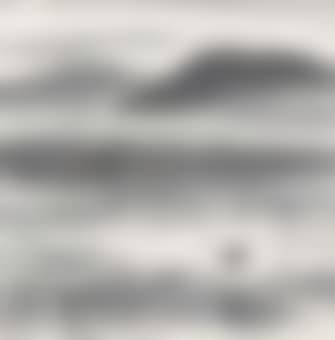 Bird Flying over Pond (preview)