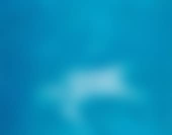 1994. No. 7 (preview)