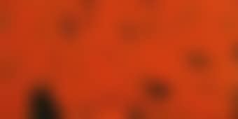 RED ENVELOPE II (preview)