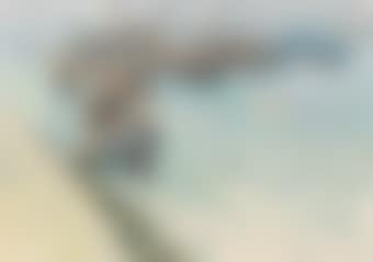 Port (preview)