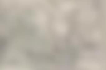 Allegory of Painting or The Triumph of Painting on Parnassus (preview)