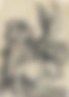 Coat of Arms with a Skull (preview)