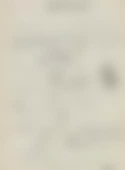 Rapporto di un nottambulo (preview)