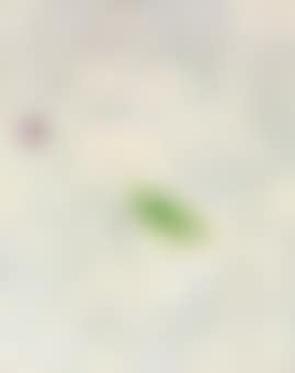Painting IV/V (preview)