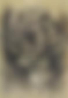 Chant de la forêt (preview)