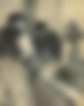 L'assommoir (preview)