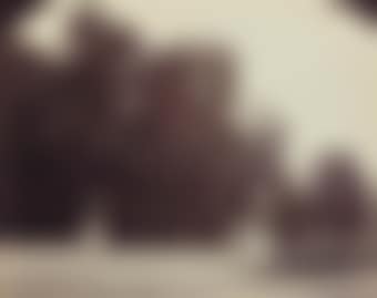St. Cloud, 1922 (preview)