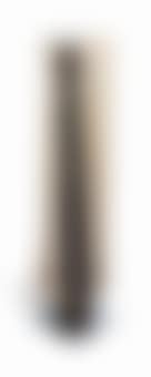 Colonna a grandi fogli (per Mondadori) (Column with large leaves (for Mondadori)) (preview)