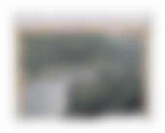 Over the River (Project for Arkansas River, State of Colorado) (preview)