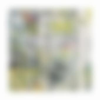 Cage Grid Trial Proof 2 (preview)