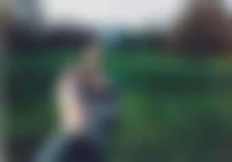 White House (preview)