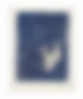 Reh 3.II.85 (Deer 3.II.85) (preview)