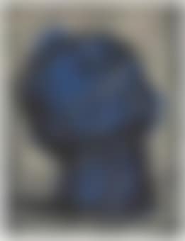 Blue Head (preview)