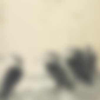 Pine and Eagle (preview)