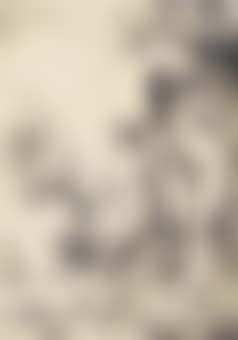 Two nudes (preview)