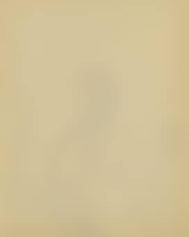 Automatic drawing (preview)