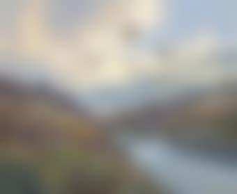 Red grouse, Glen Etive (preview)
