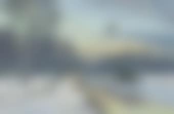 Woodcock on the common (preview)