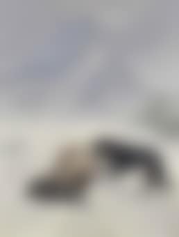 Found, but too late (or The Lone Mourner) (preview)