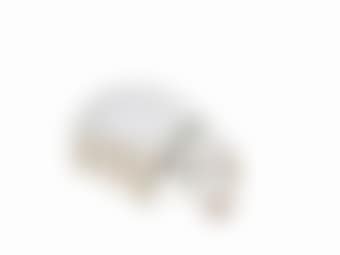 Dog (preview)